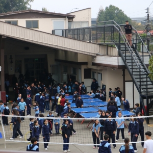 Día de la Actividad Física